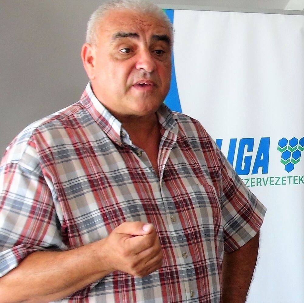 BKV: Csak 5 százalék lenne?