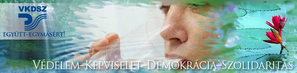 Piaci béreket a vízügyi közszolgáltatásban!