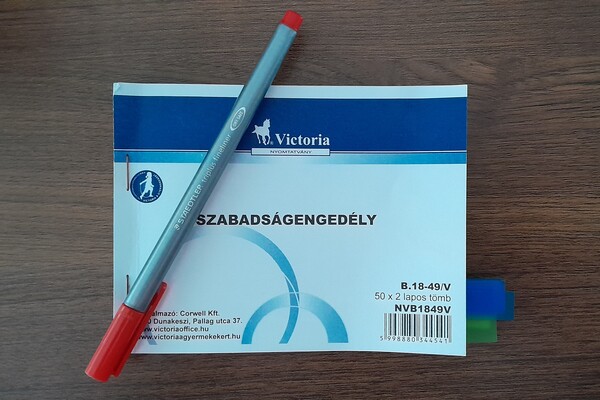 A szabadság mértéke és kiadásának különös szabályai
