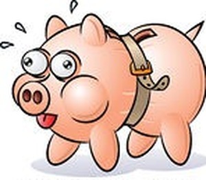 Megérkezett a megszorító csomag