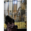 zoo6.jpg