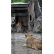 zoo7.jpg