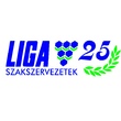 Liga_log_25_ves.jpg