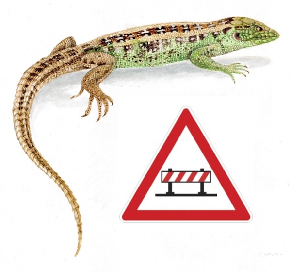 Gyakran Ismételt Kérdések