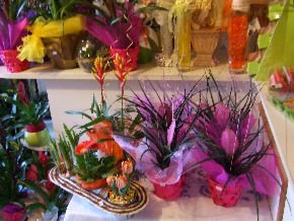 Borostyán Virág-Ajándék Üzlet (Szentes)