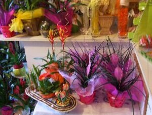 Borostyán Virág-Ajándék Üzlet (Szentes)