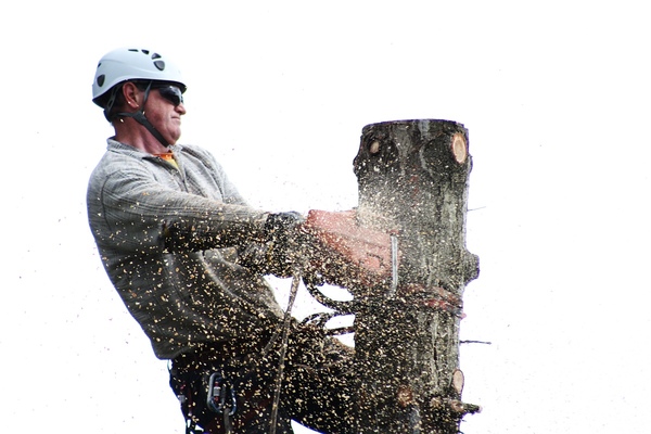 Munkavédelmi jogszabályváltozások