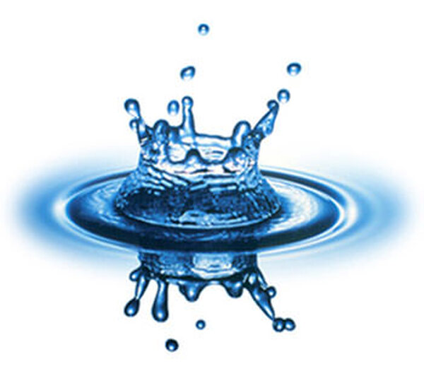 Legfőbb érték az ember